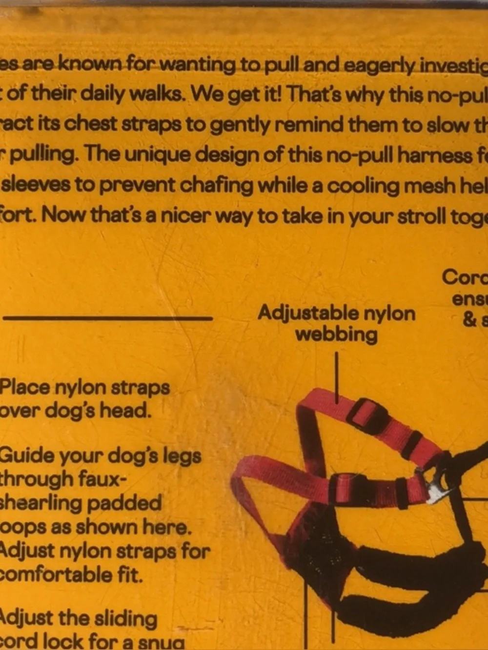 every yay curious canines