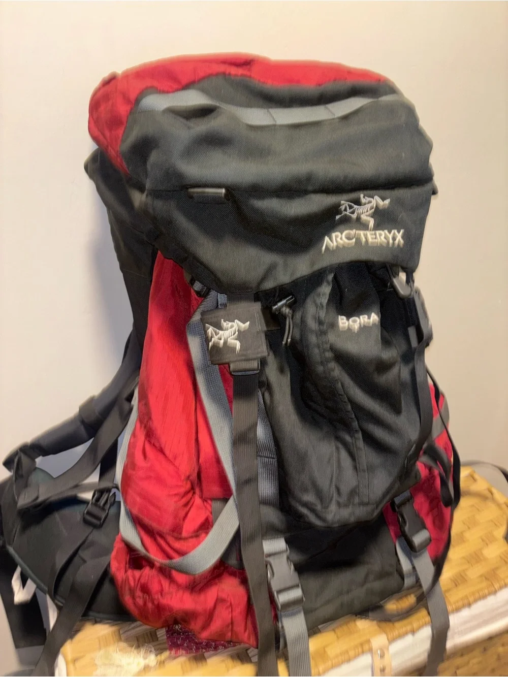 Arcteryx hip secure