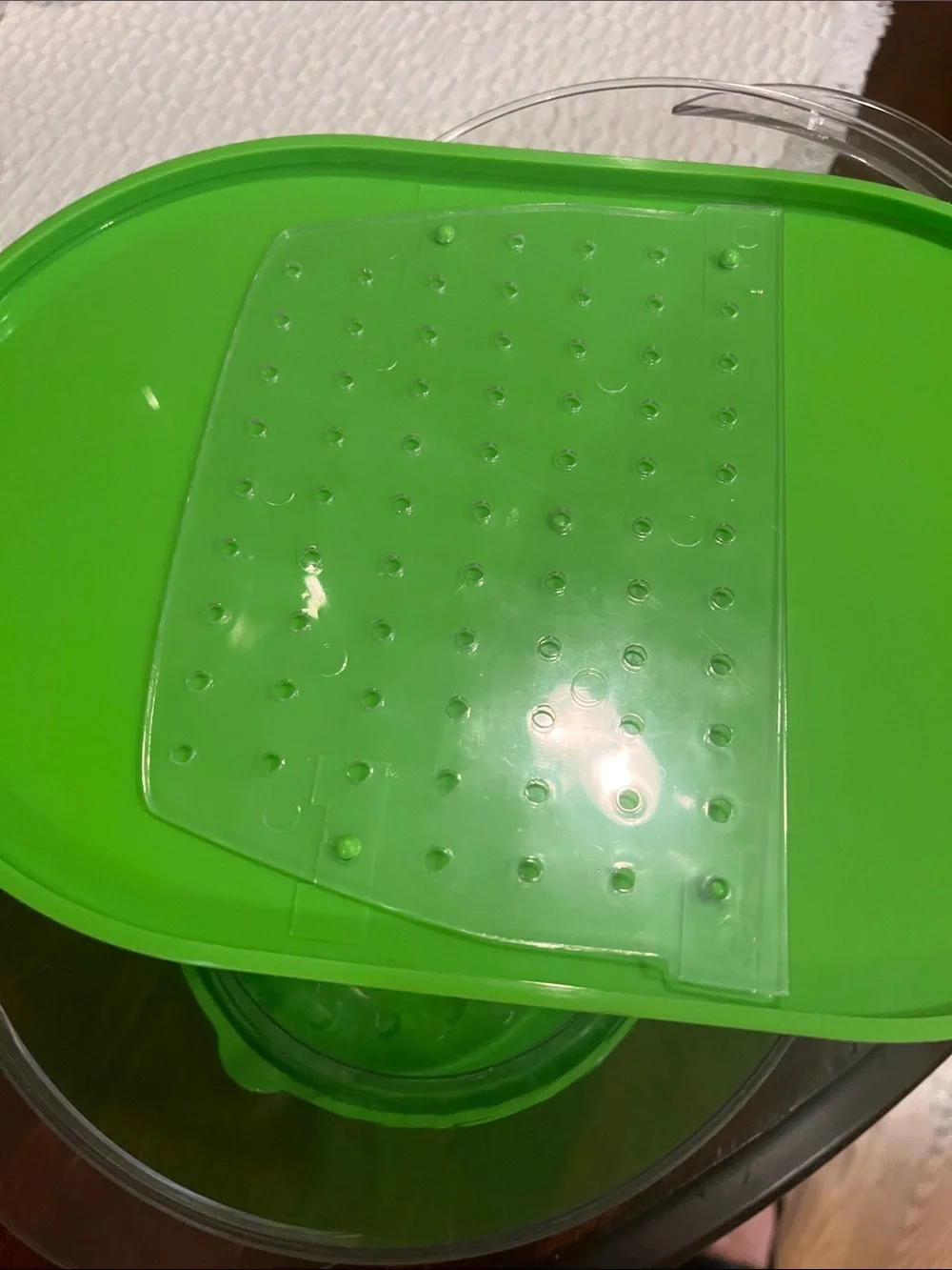 Progressive green produce