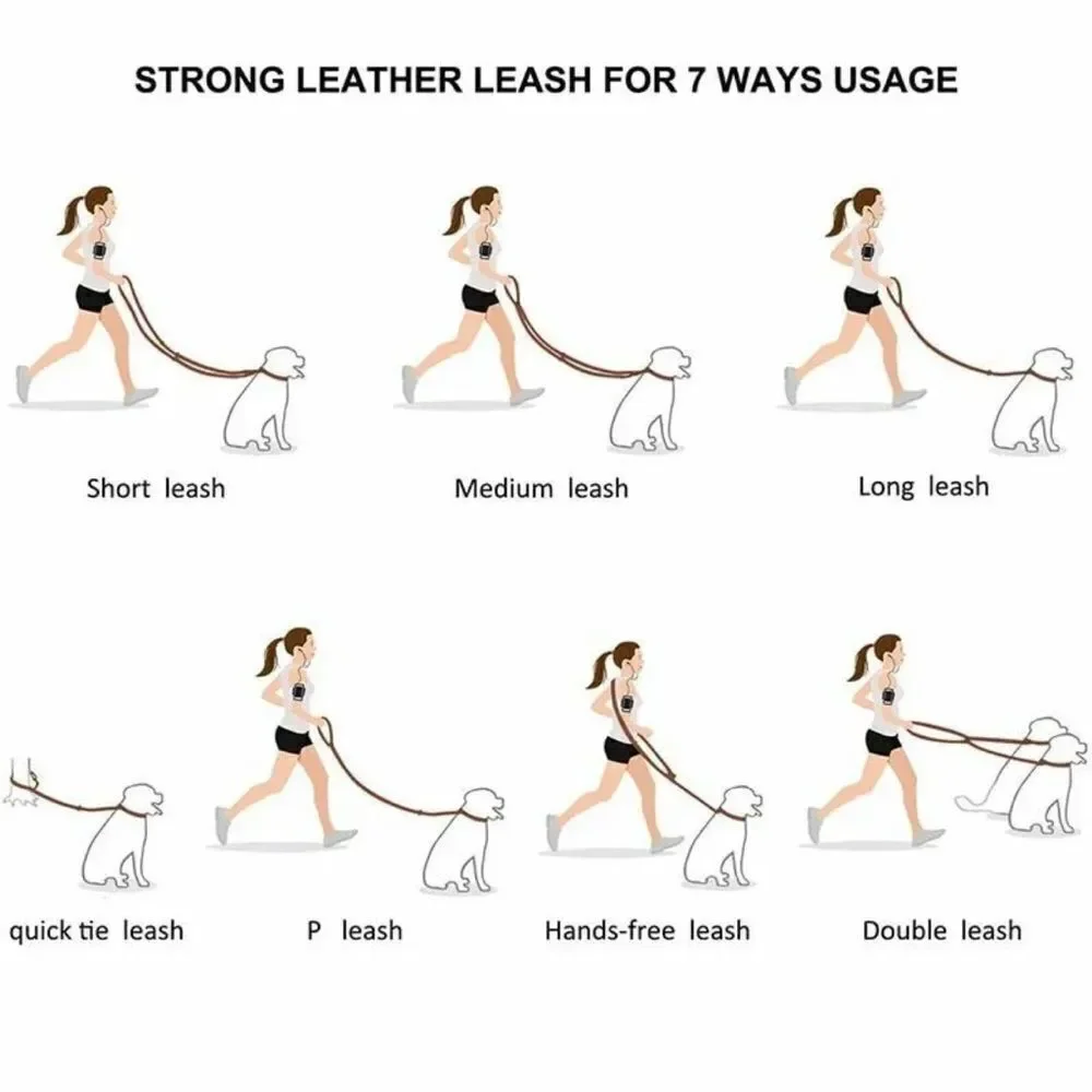 no brand dog leash