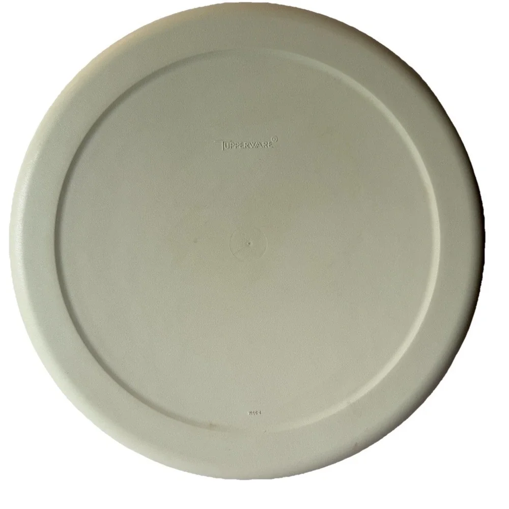 Tupperware vintage divided