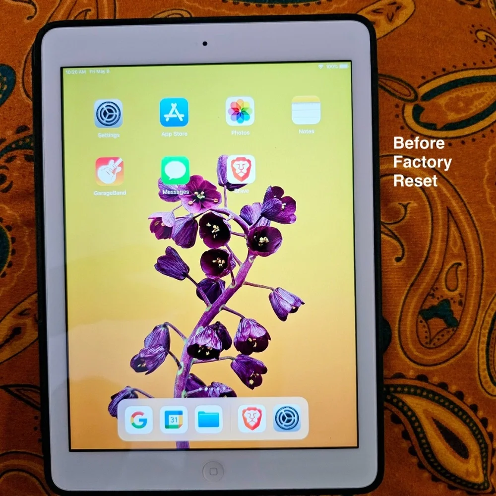 Apple ipad air