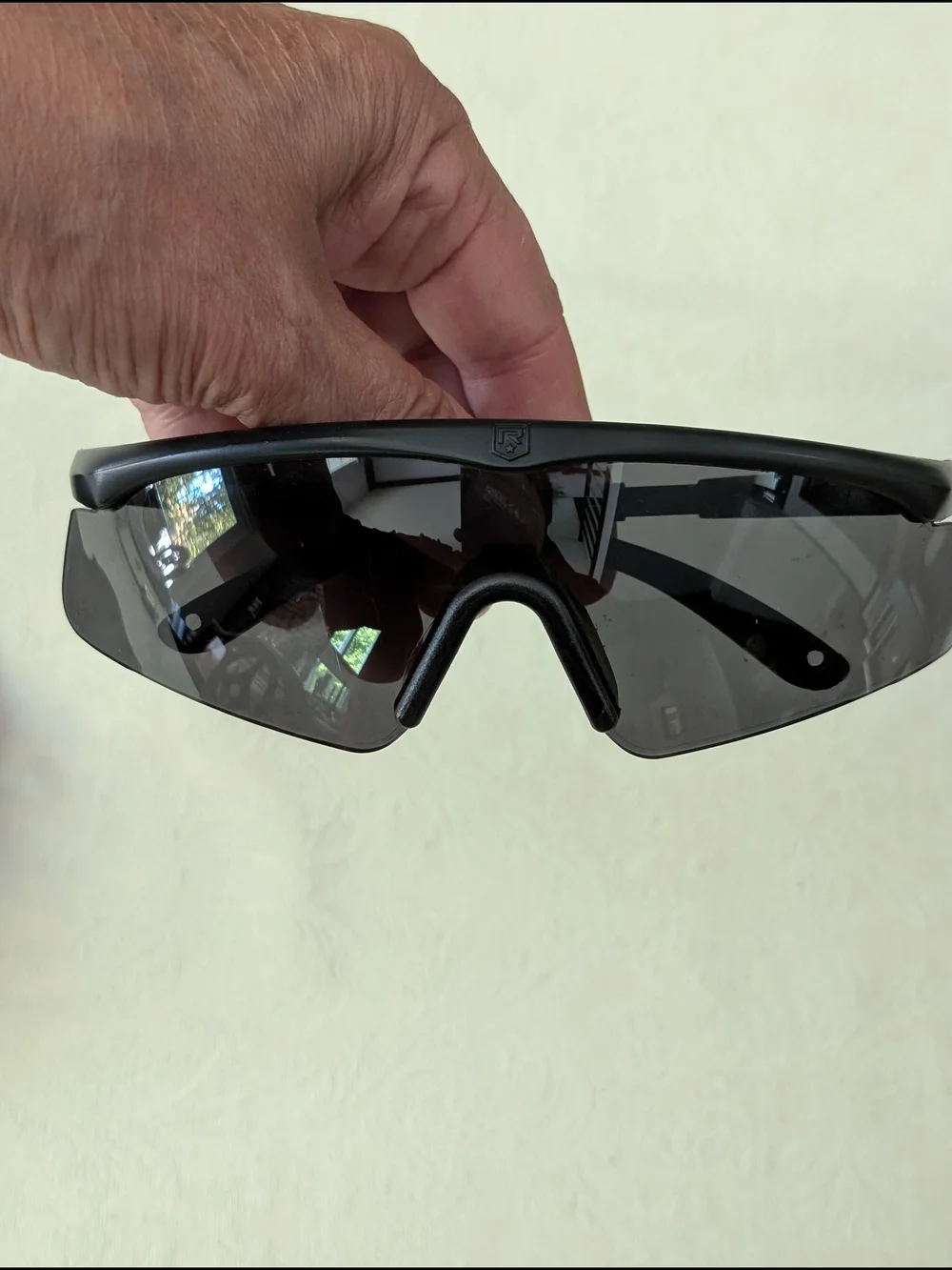 Revision Military Ballistic Protective Sunglasses w/ Black Zippered Case
