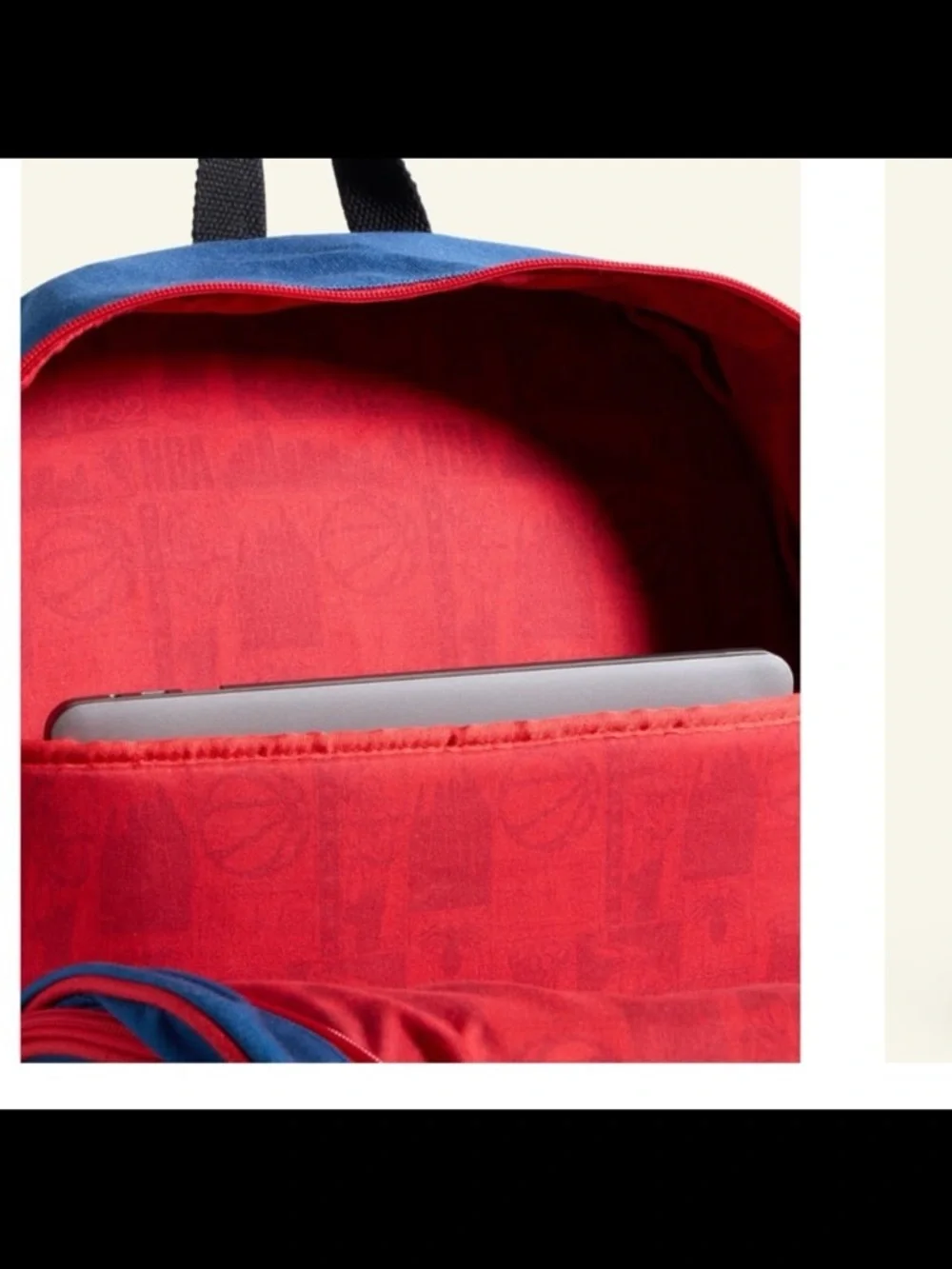 NBA blue backpack