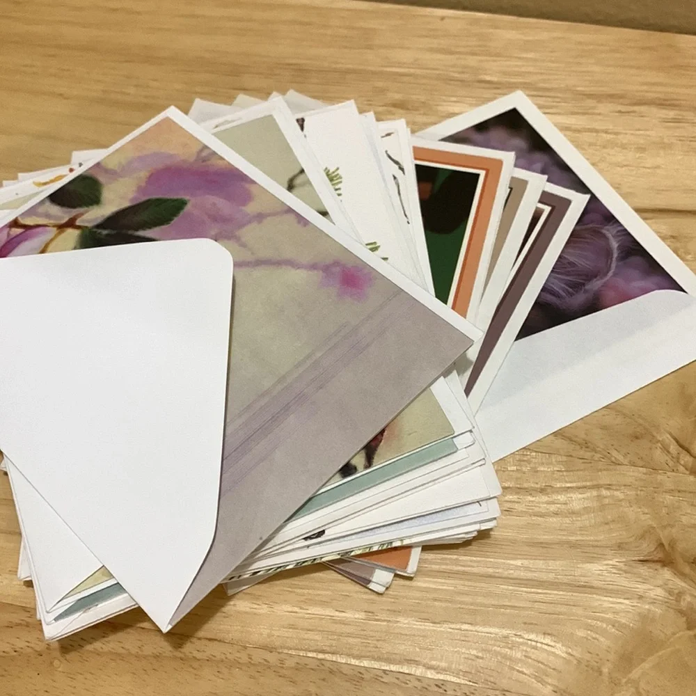 Lot of 19 blank cards with birds, cats and dogs on the fronts. Photos & art