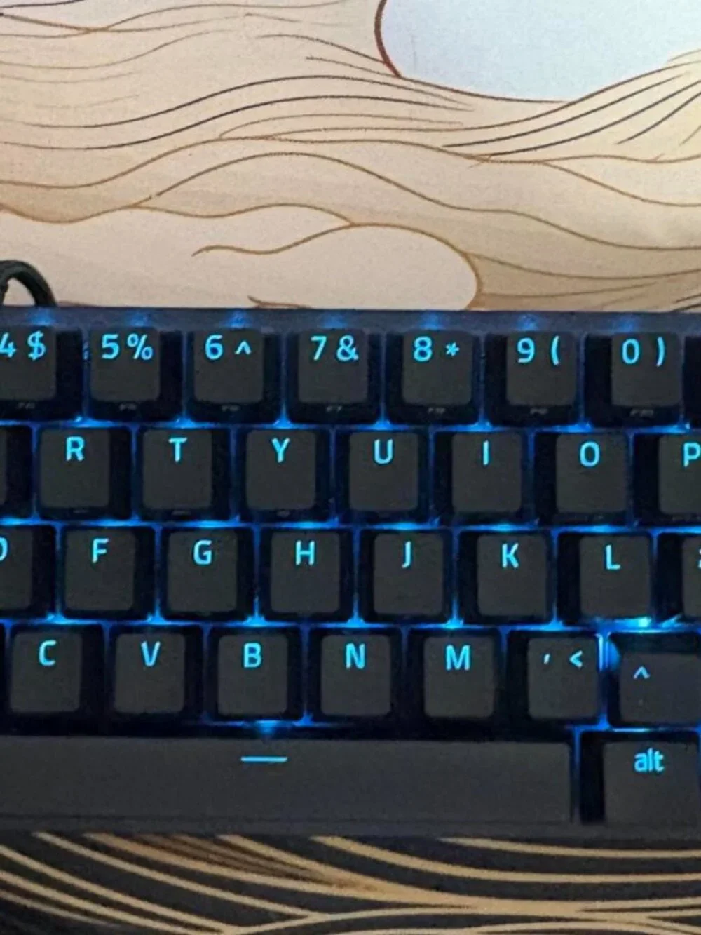 Razer huntsman mini