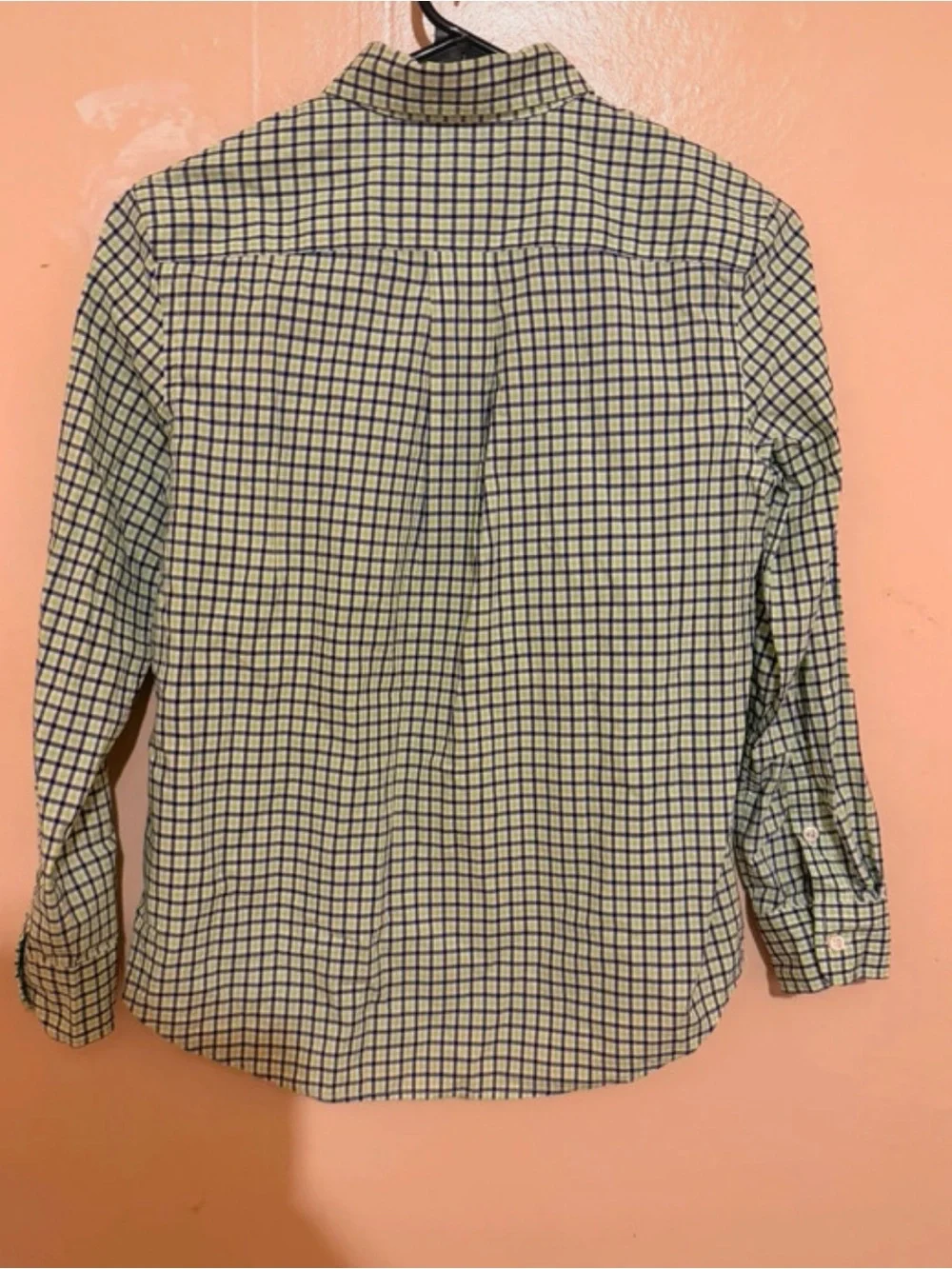 Ralph Lauren Blue & Light Green Checked Button-Down Shirt