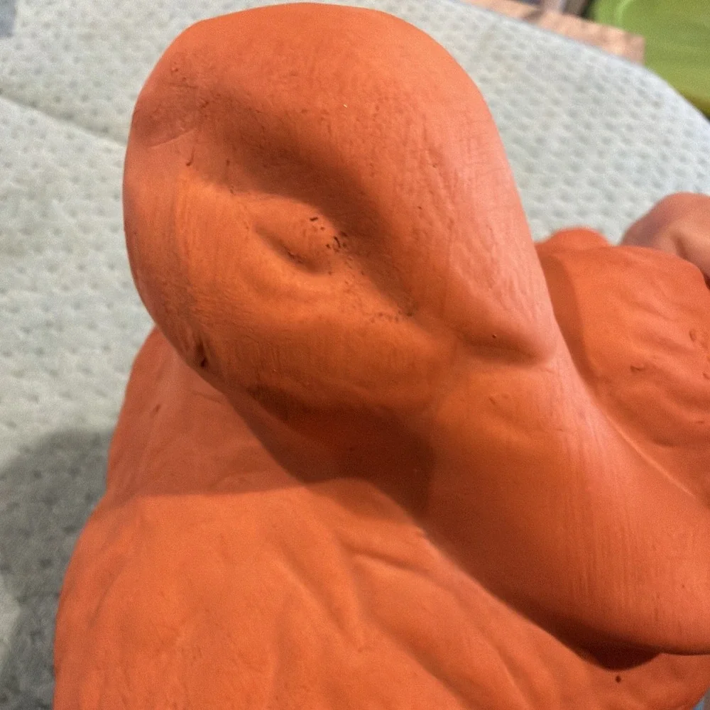 Duckster no chips