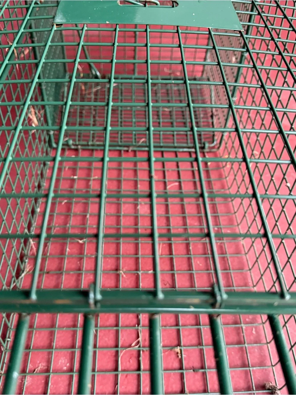 Duck Trap details specs