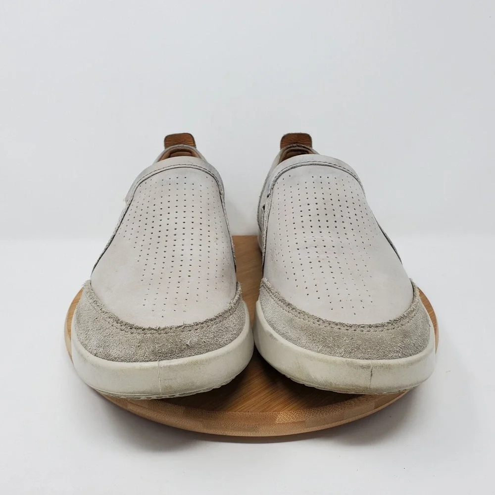 Ecco collin mens