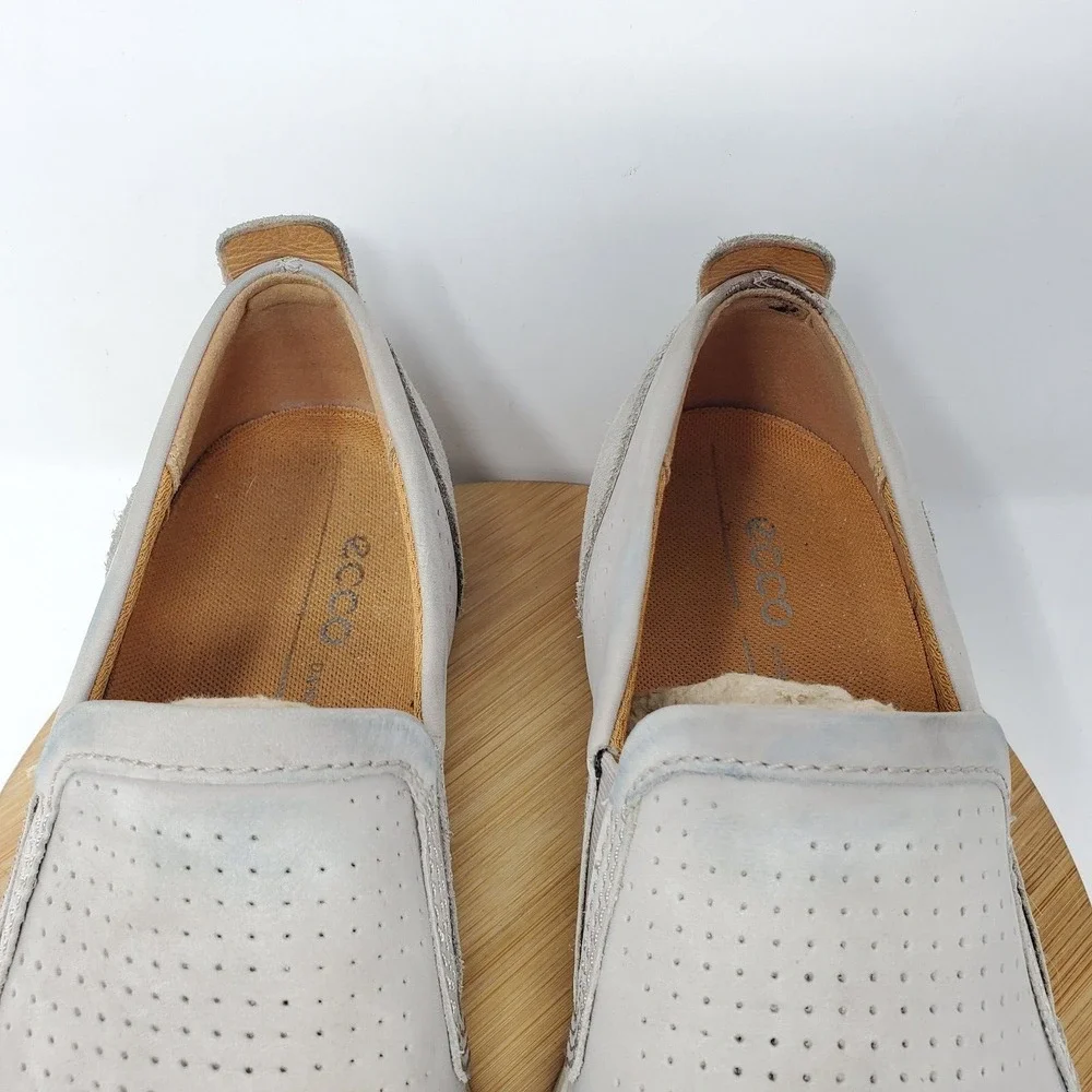 Ecco collin mens