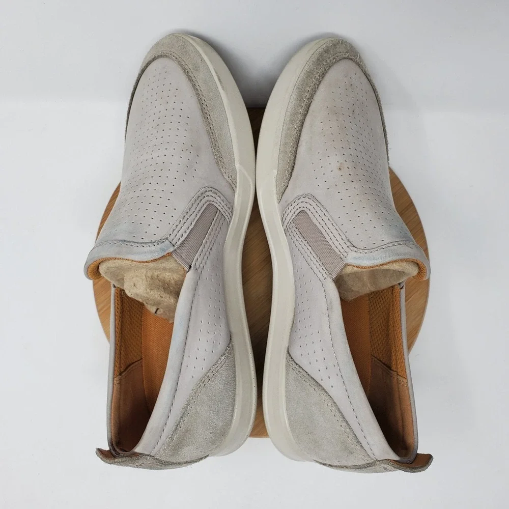 Ecco collin mens