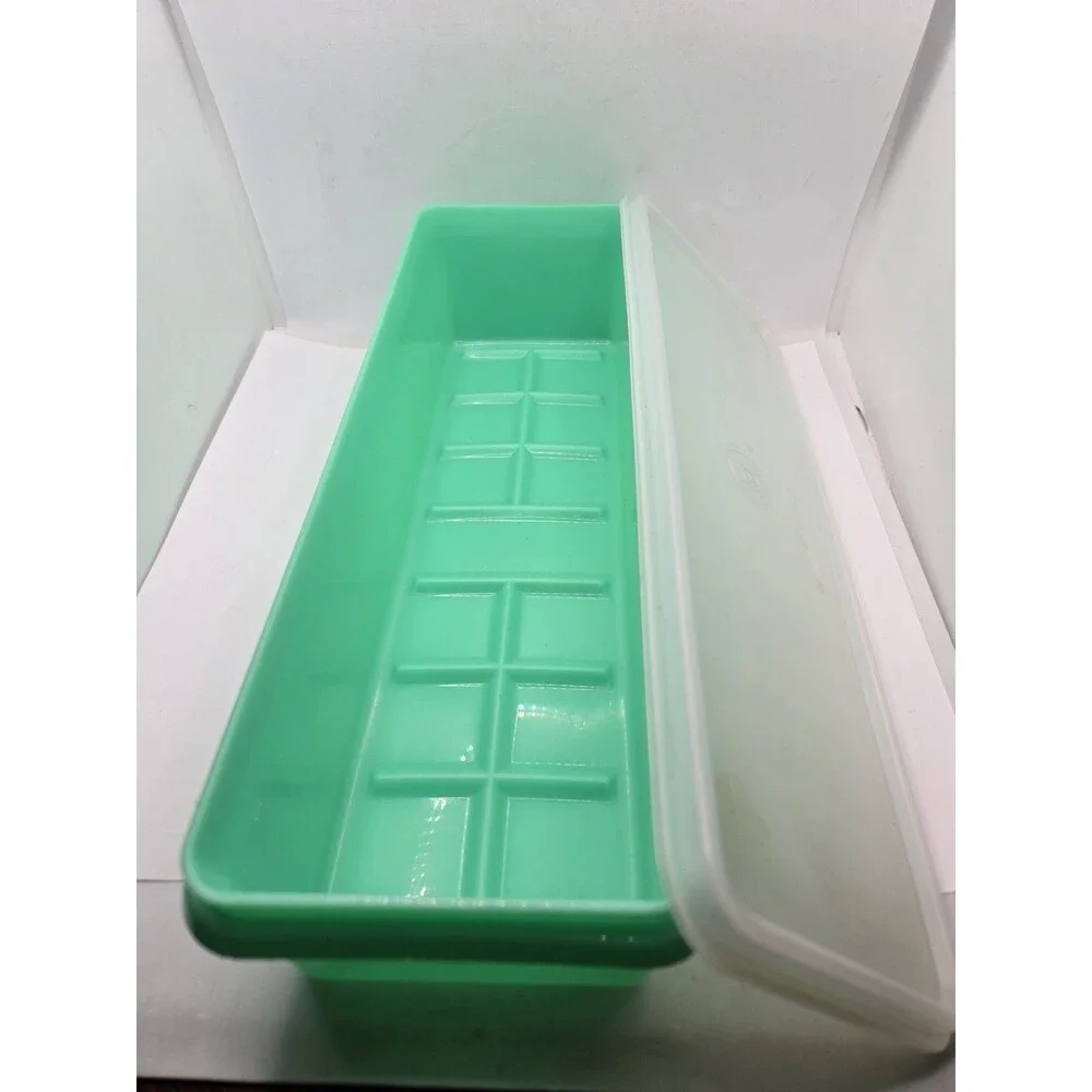 Tupperware vintage celery