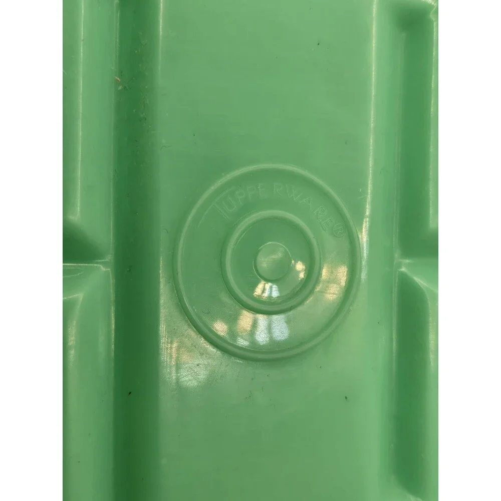 Tupperware vintage celery
