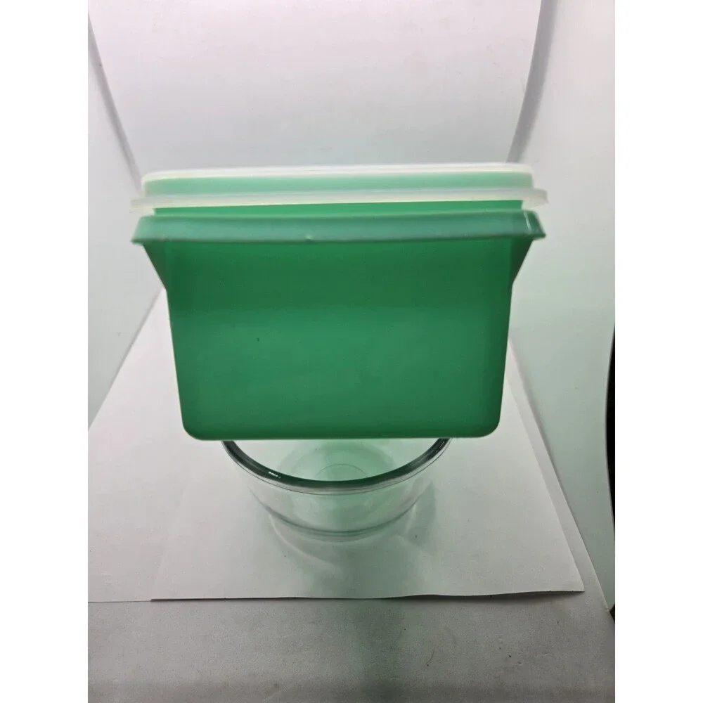 Tupperware vintage celery