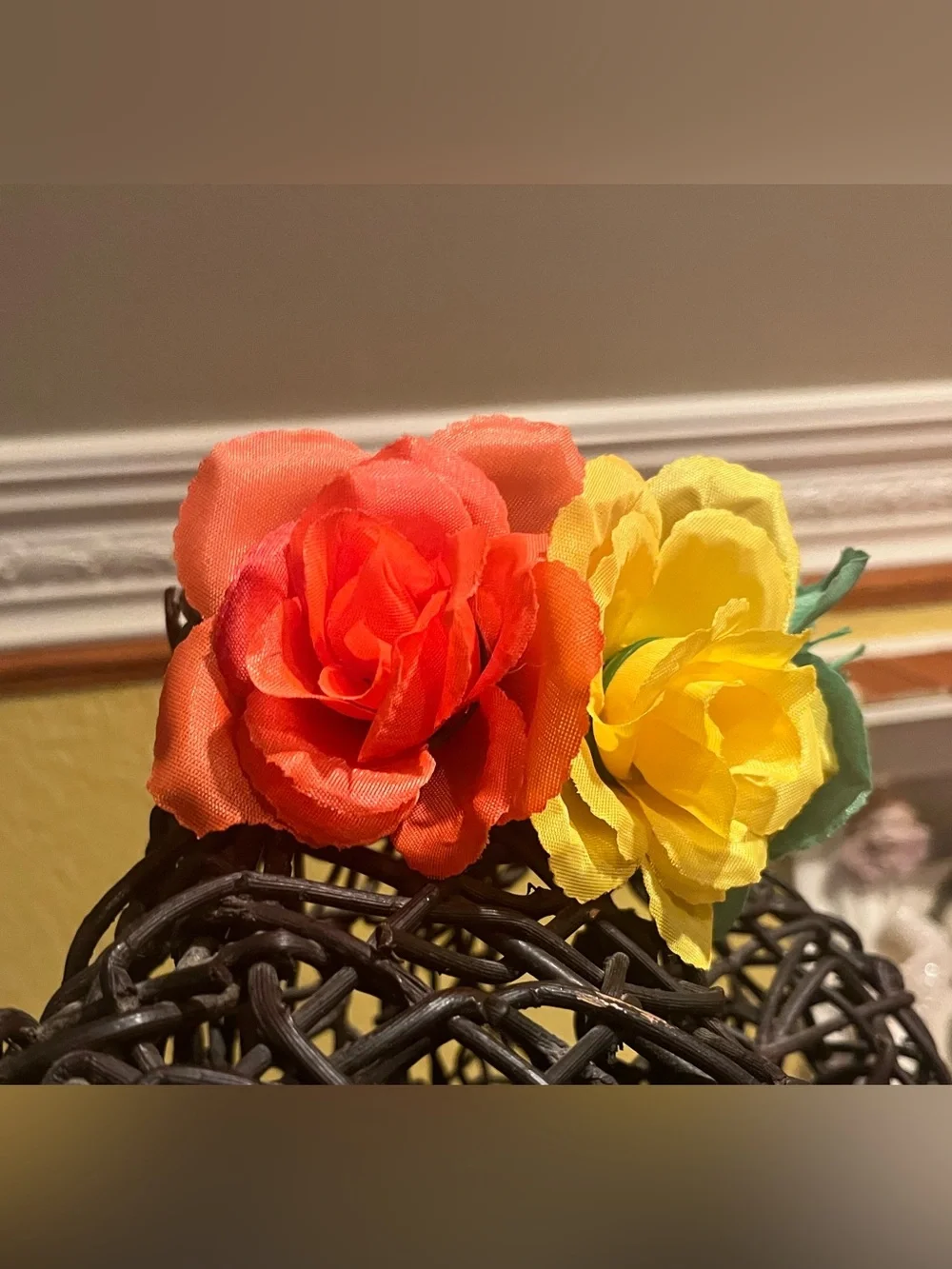 N/A rainbow rose