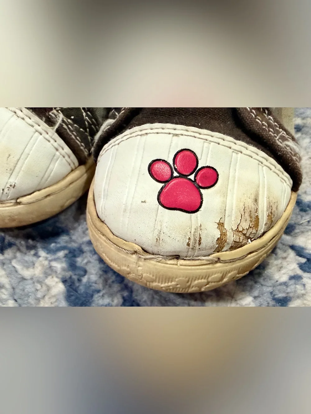 Paw Patrol Kids Black Sneakers with White Toecaps and Red Paw Accents