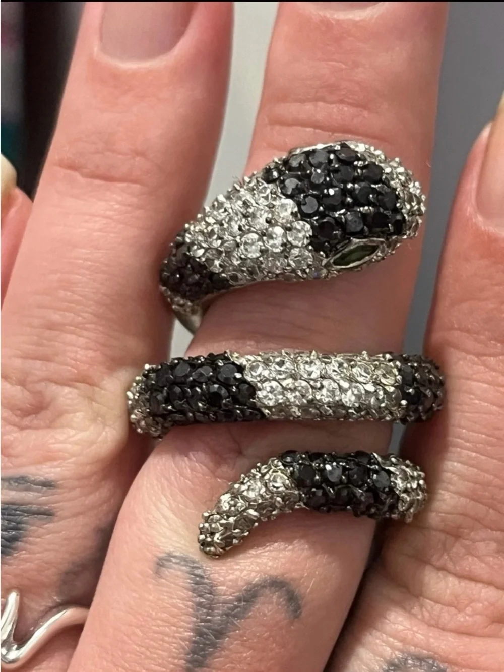 Snake Ring outfit bold