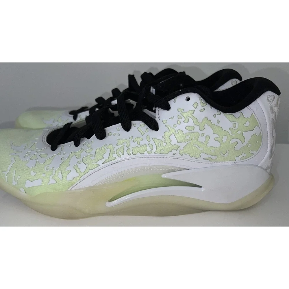 Jordan air zion