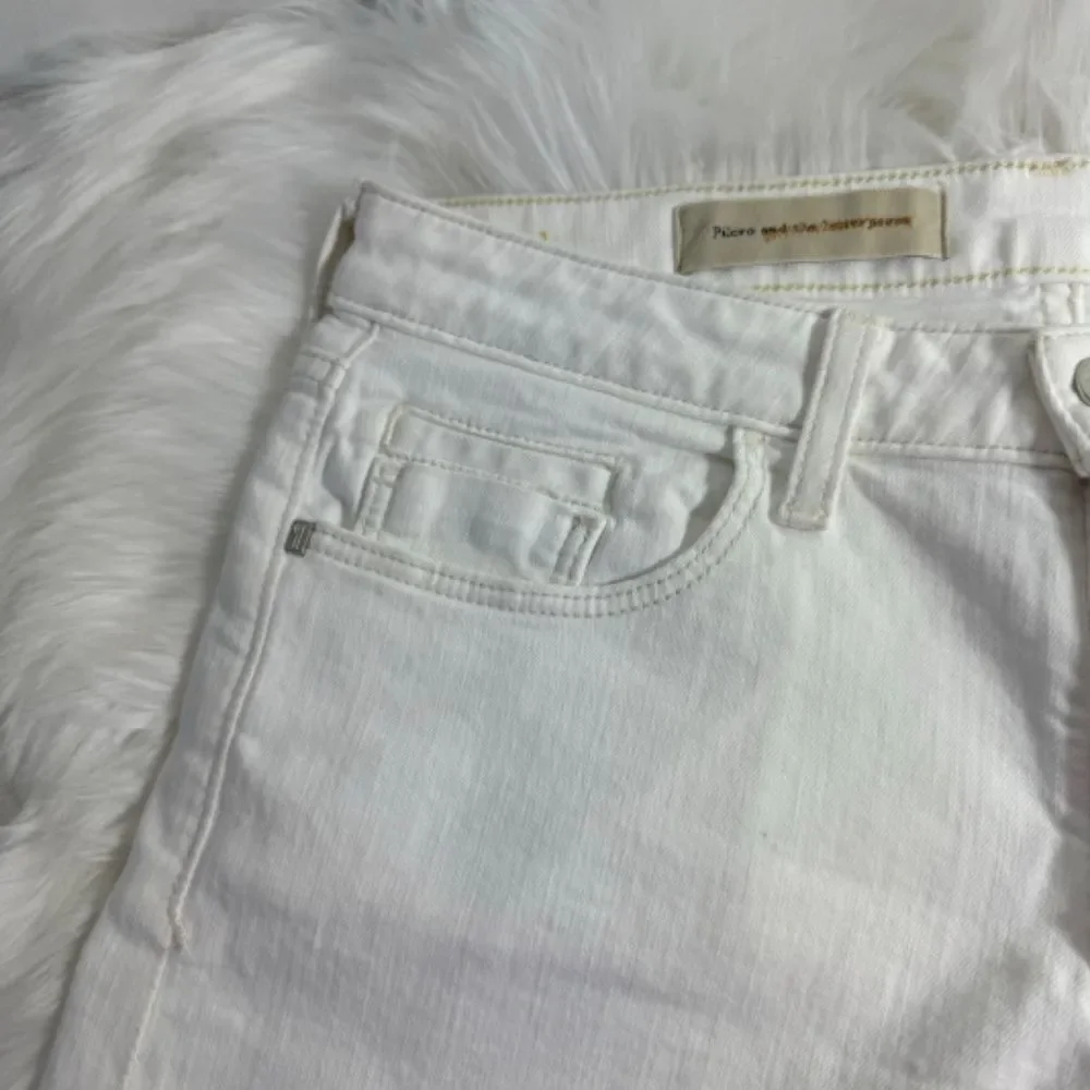 Anthropologie these measure