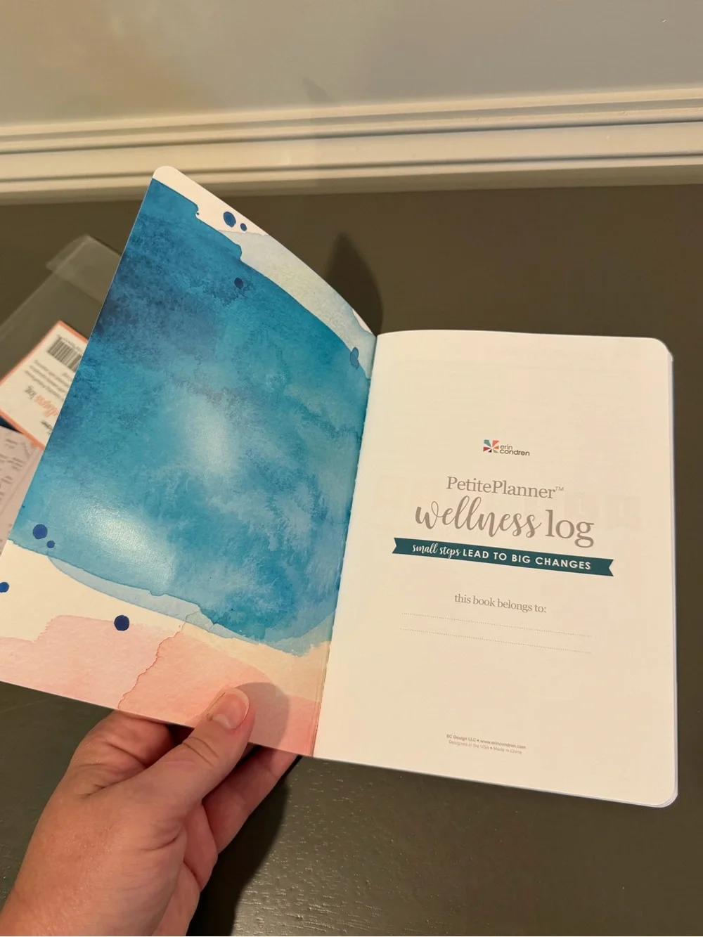 Erin Condren petite planner