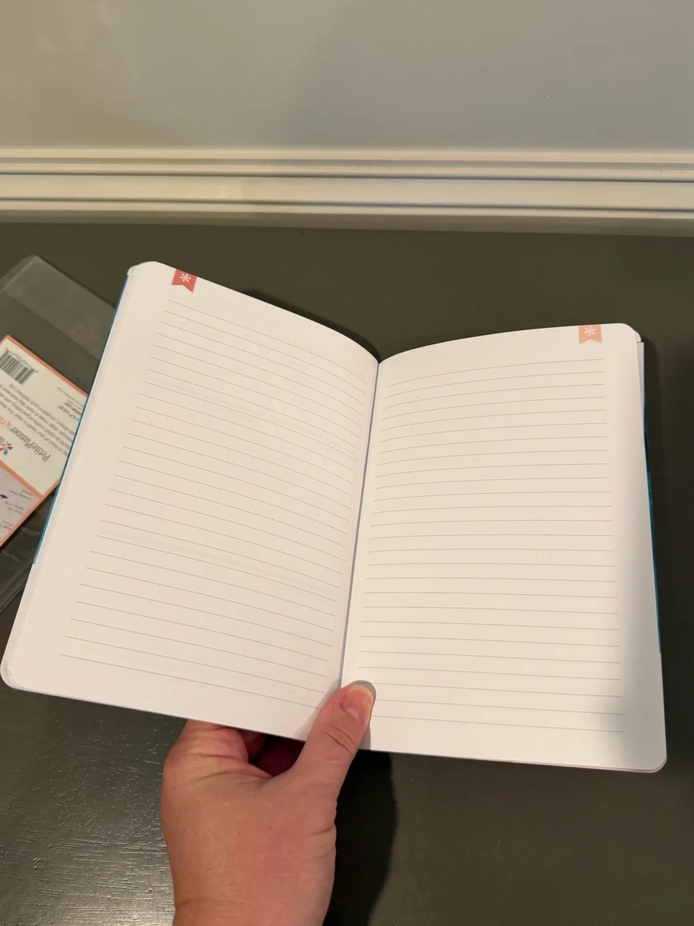 Erin Condren petite planner