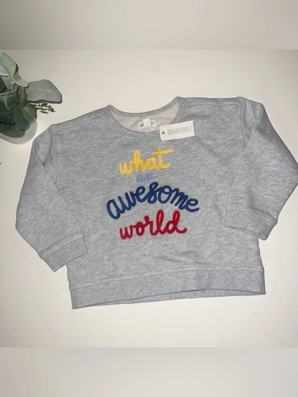 sweatshirt