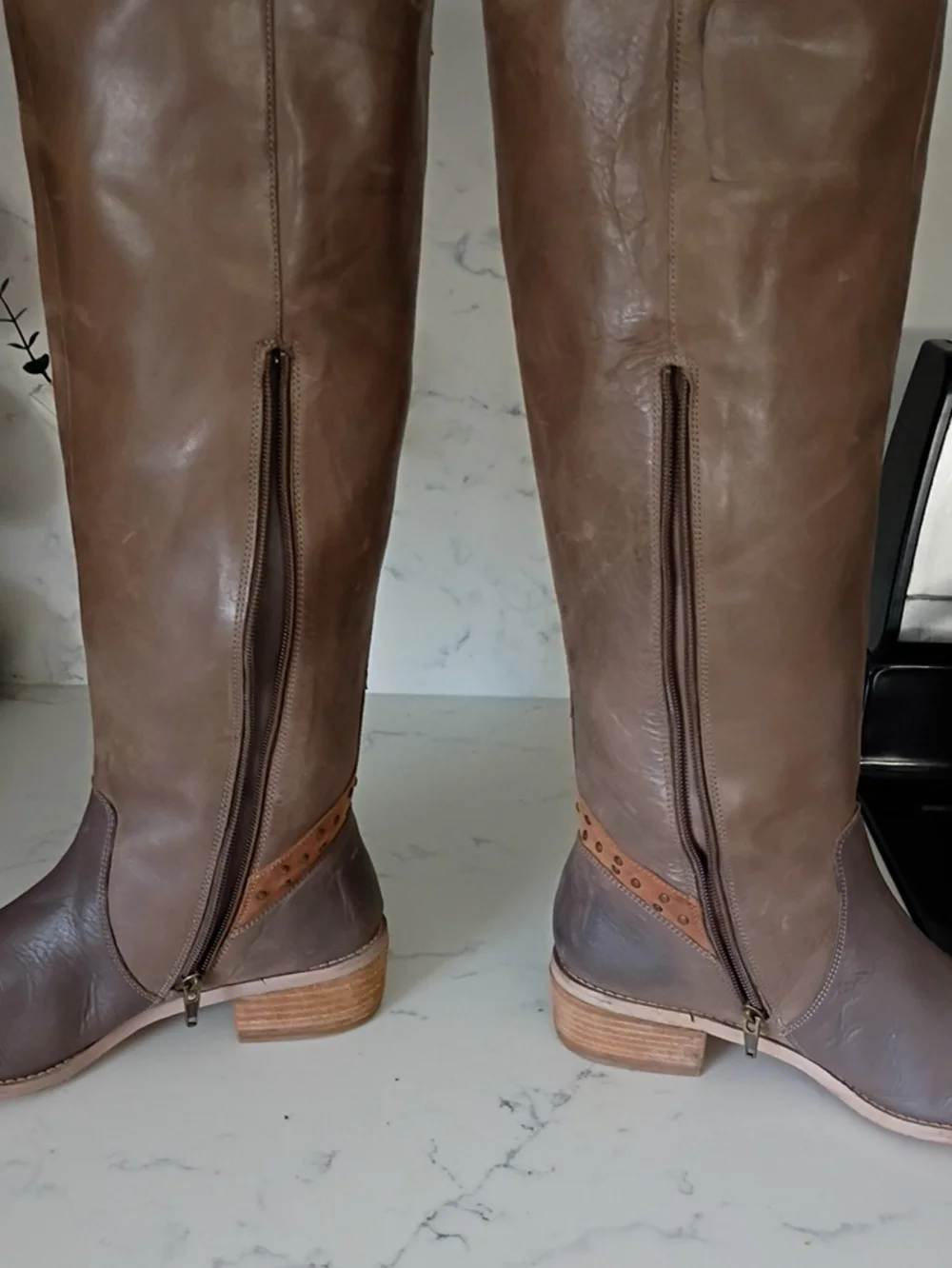 laughty monkey classic tall