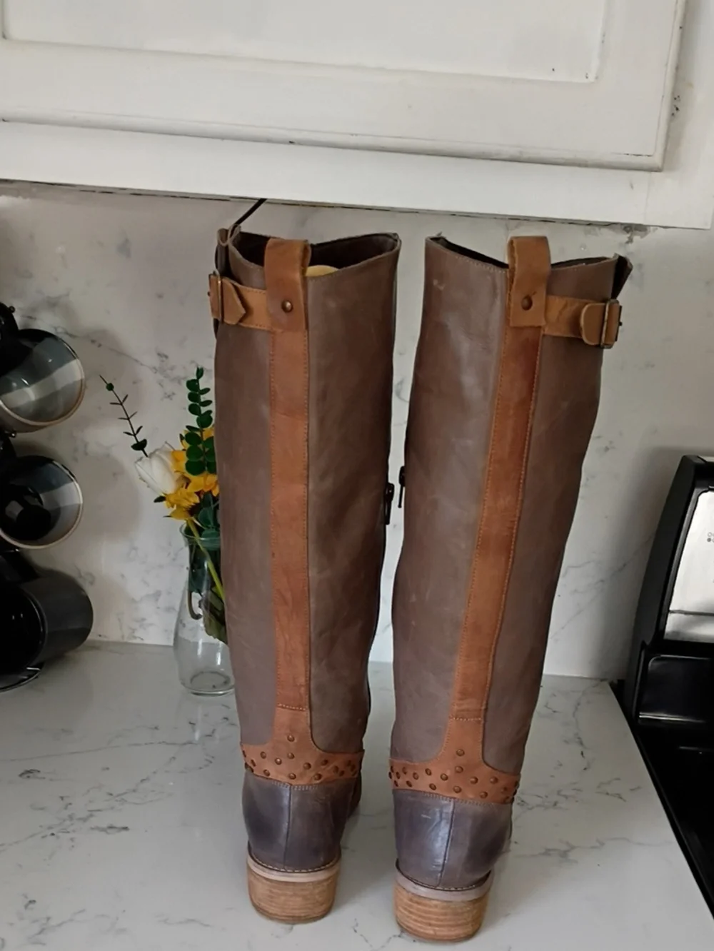 laughty monkey classic tall