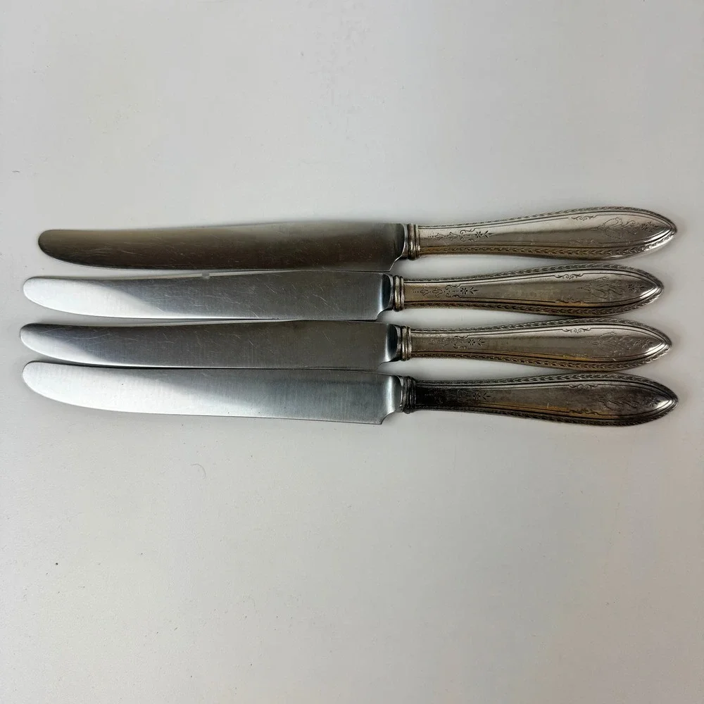 1847 Rogers Bros Argosy Silverplate Dinner Knives Insico Stainless Set of 4 9.5