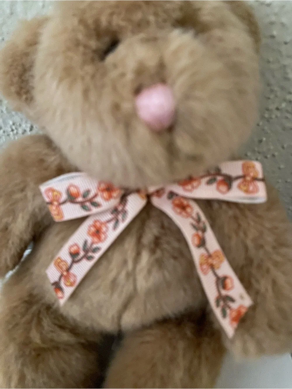 FRIENDS cute brown