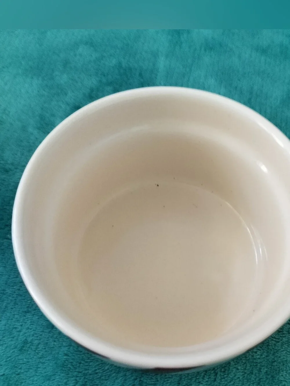 Spode brand pattern