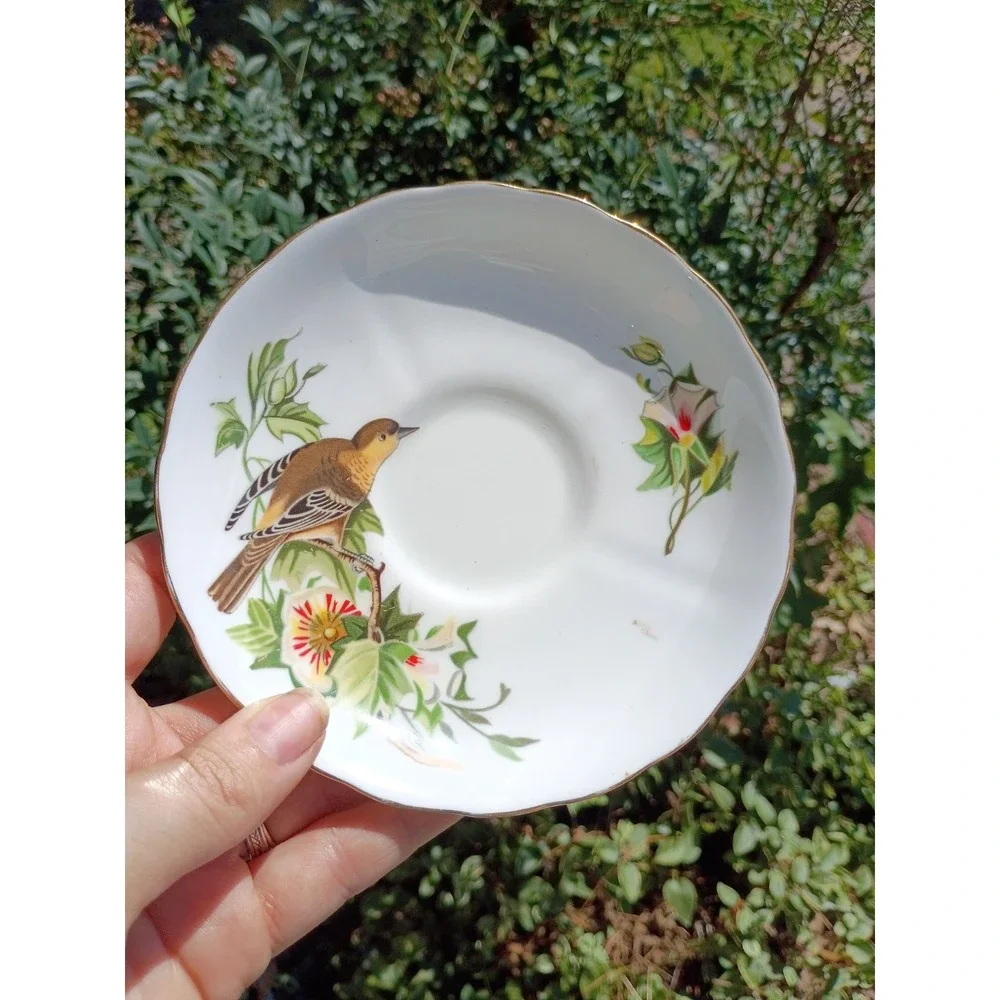 Tuscan Audubon Birds Baltimore Oriole Bone China Saucer only - NO CUP