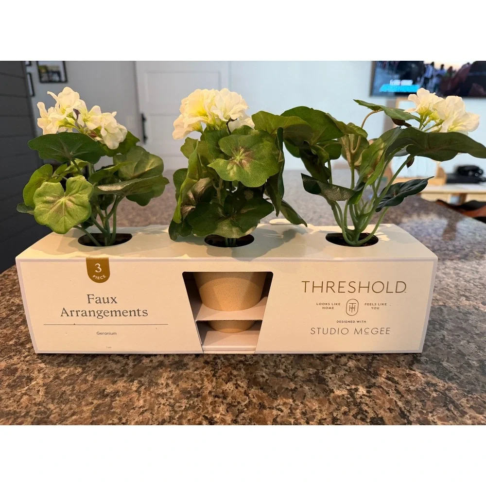 Threshold Studio McGee‎ 3 Piece Faux White Geranium Floral Arrangements in Pots