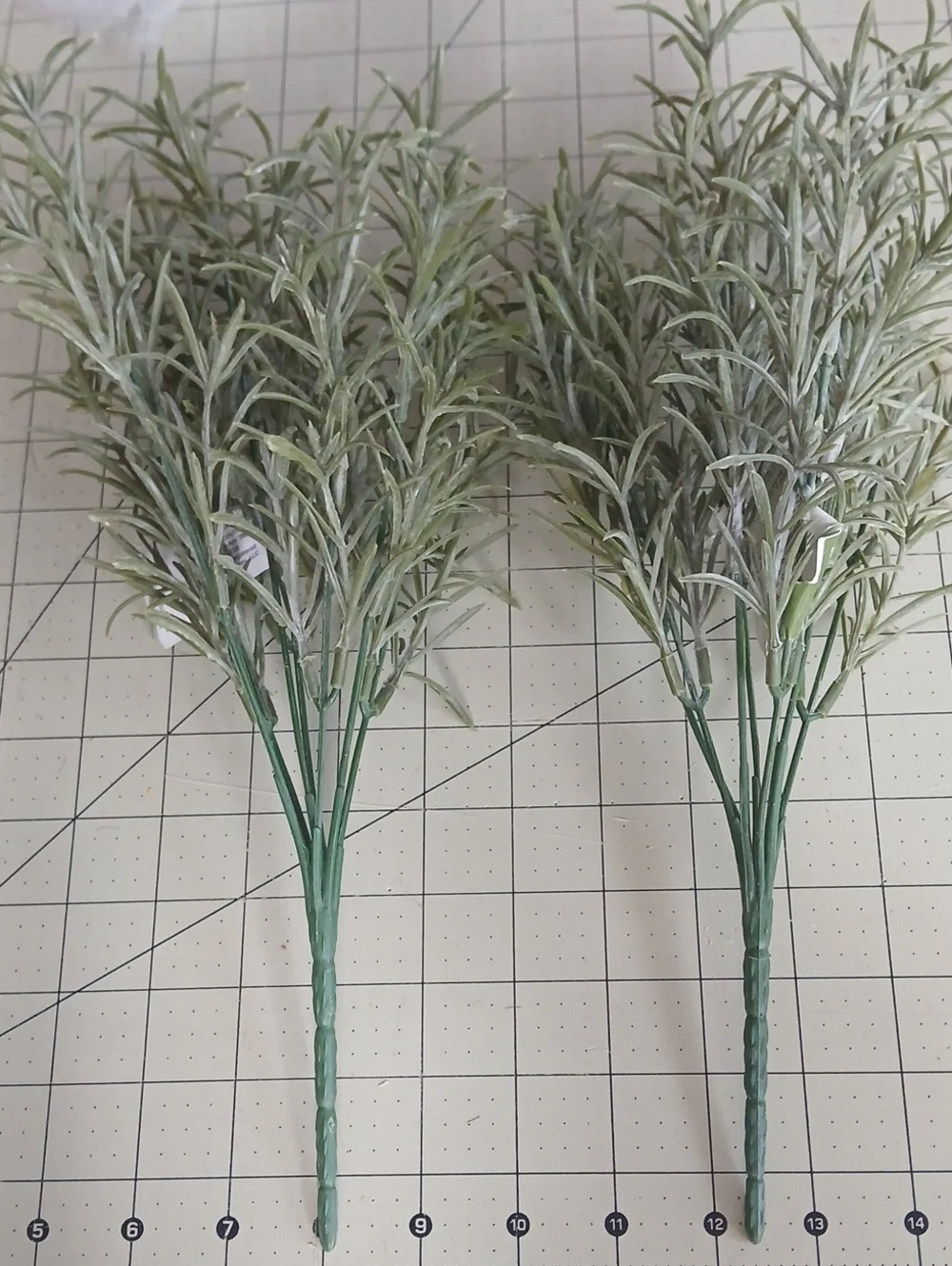 Eucalyptus Bush - Set Of 2