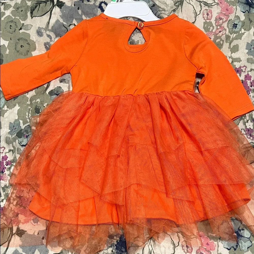 lilt charming orange