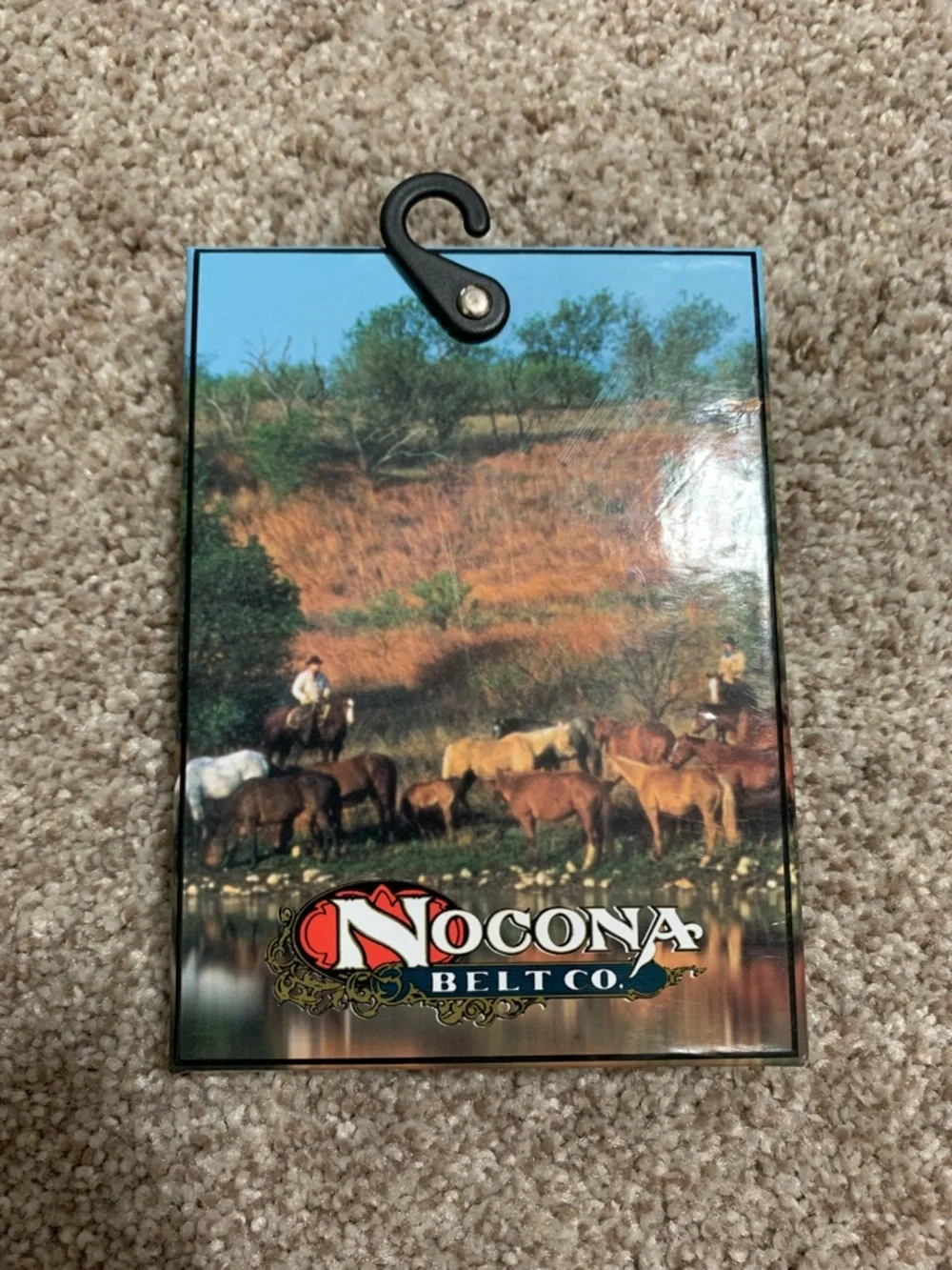 Nocona oval accessory buckle
