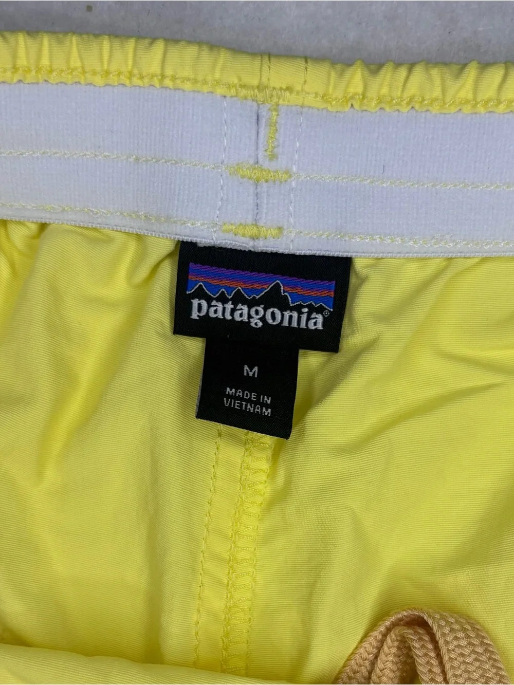 Patagonia lightweight shorts