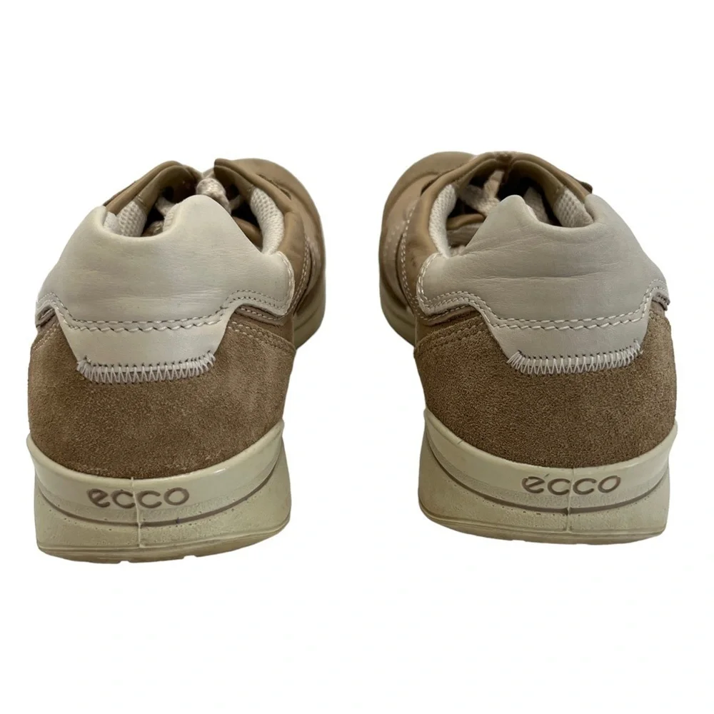 Ecco step into