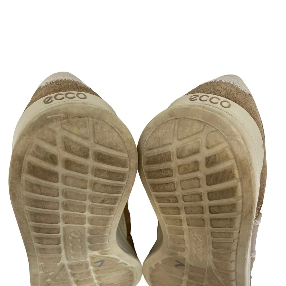 Ecco step into