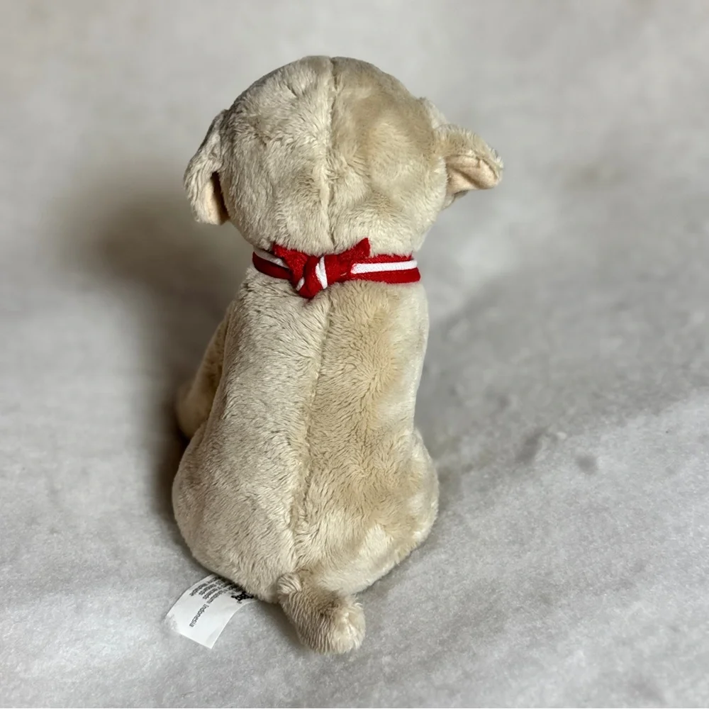 Jaag product small