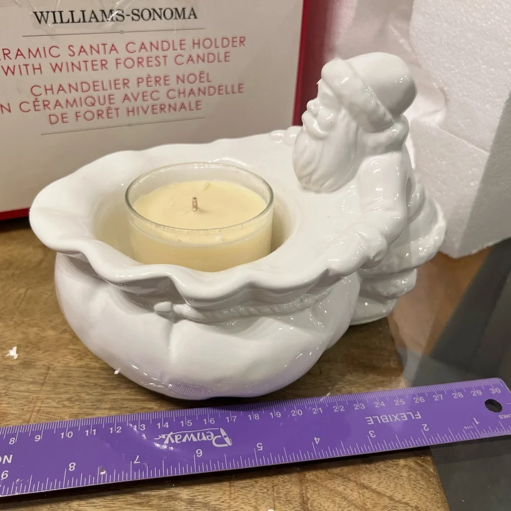 Williams Sonoma festive santa