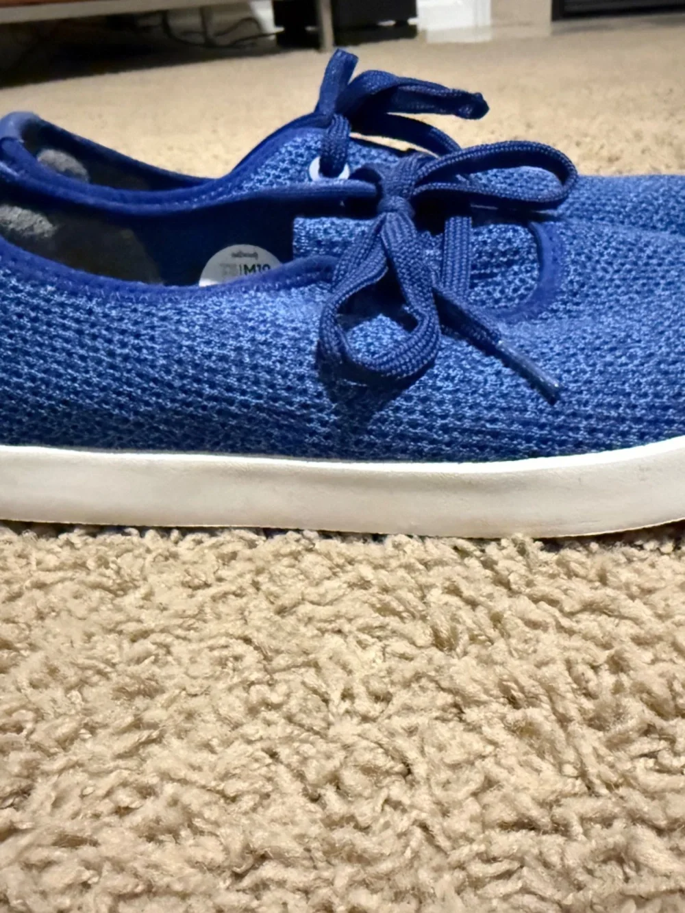 allbirds take boat