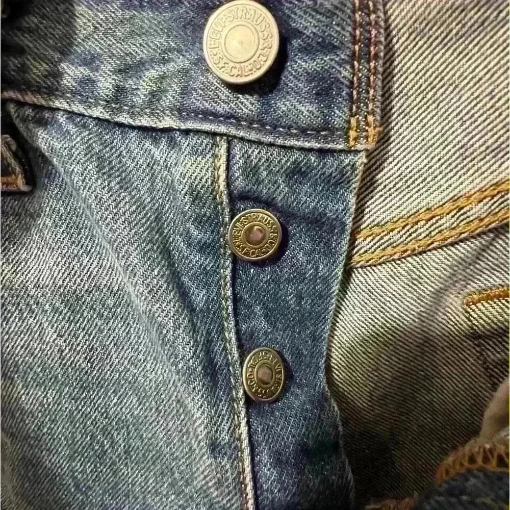 Levis levi strauss