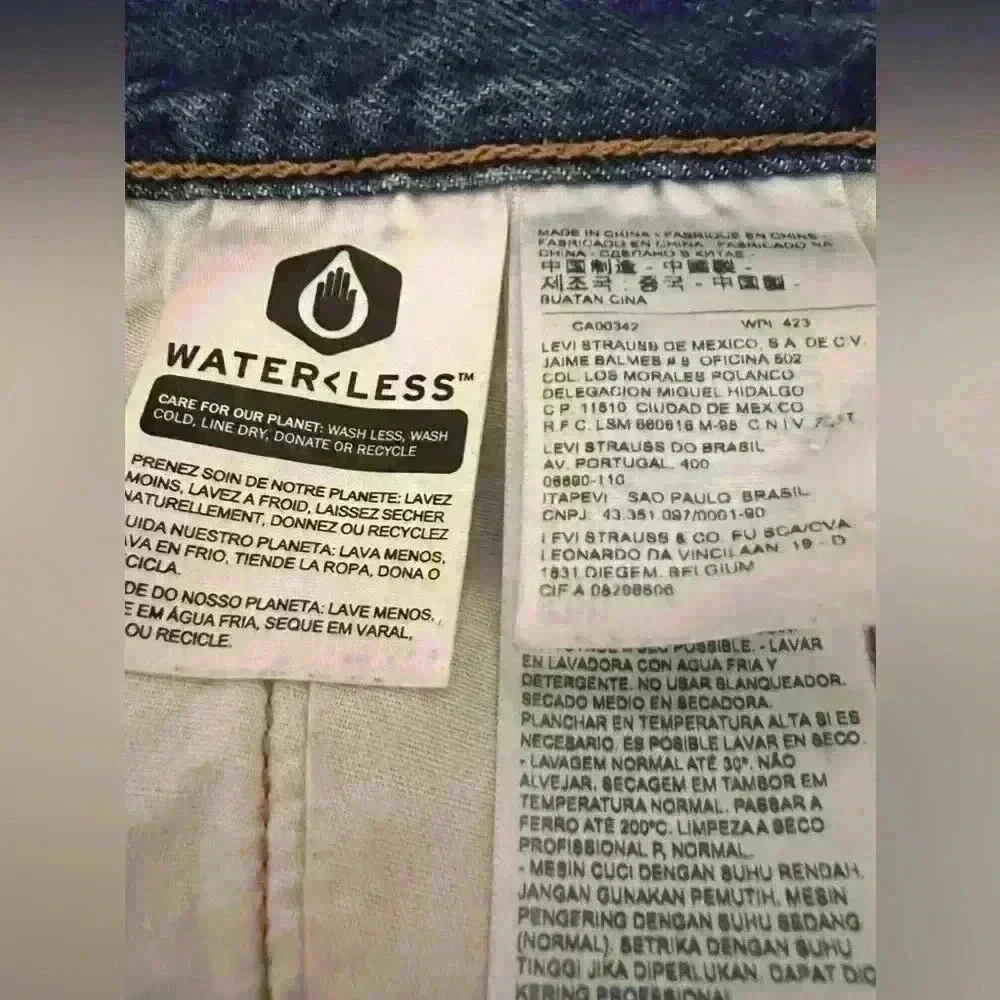 Levis levi strauss