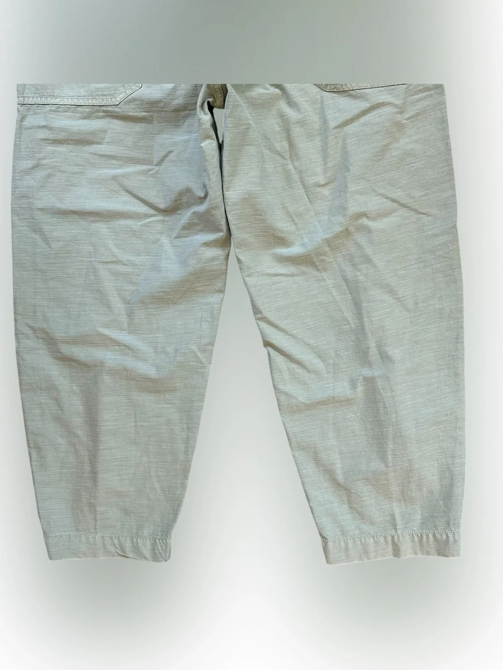 Everlane brand size