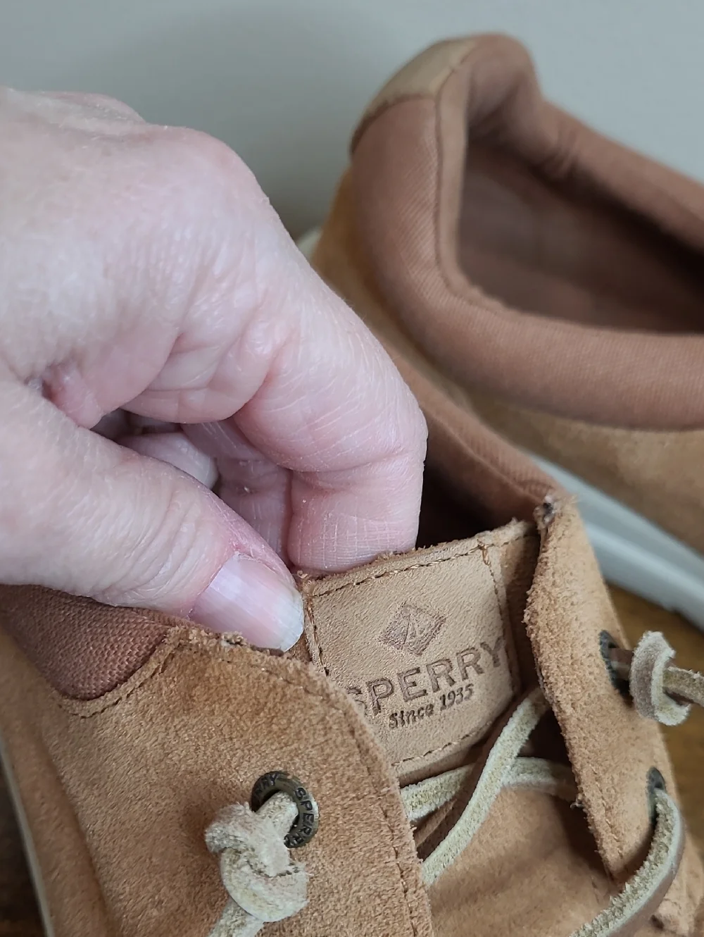 Sperry top sider