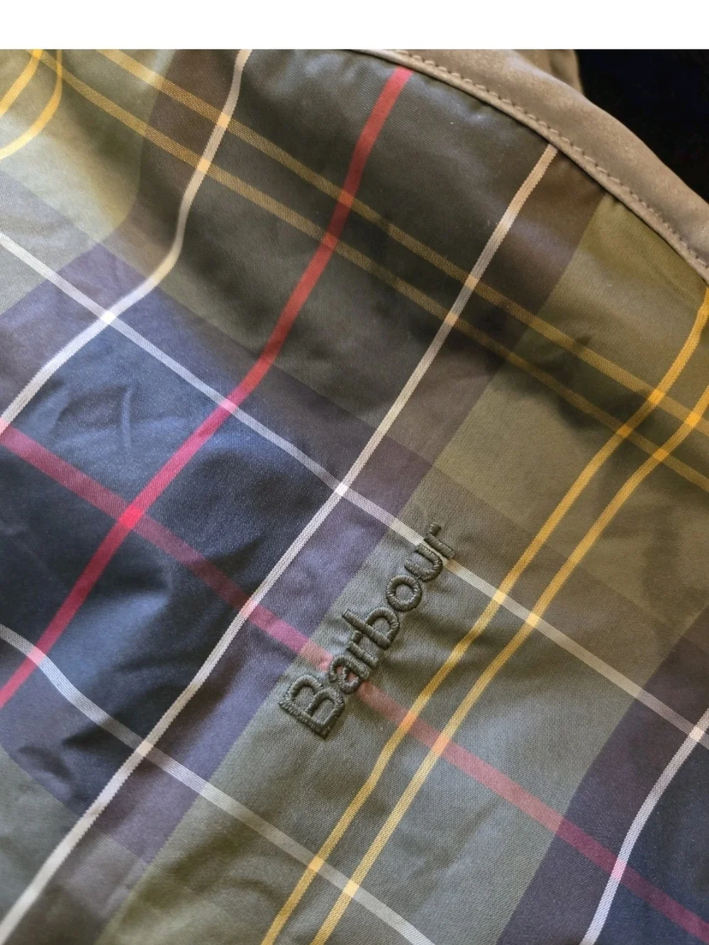 N/A reversible dog