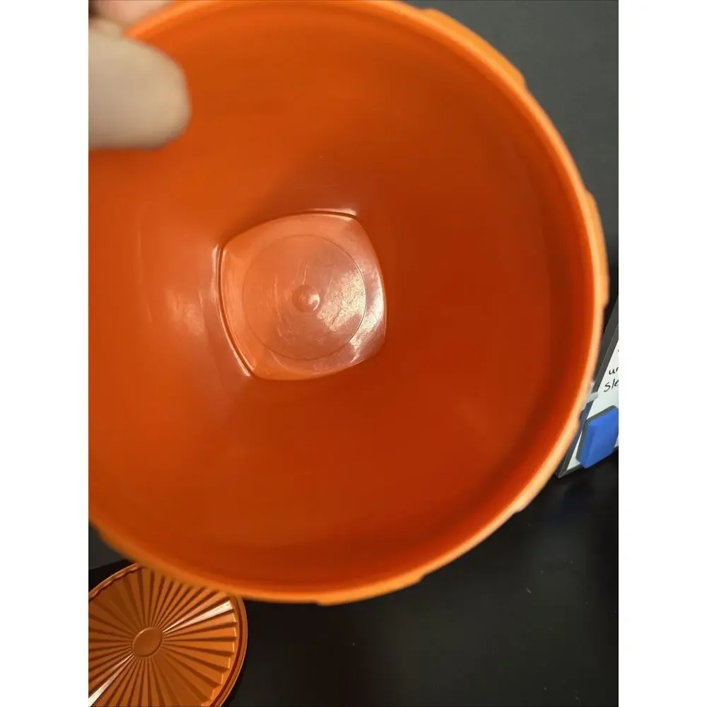 Tupperware 16 cup