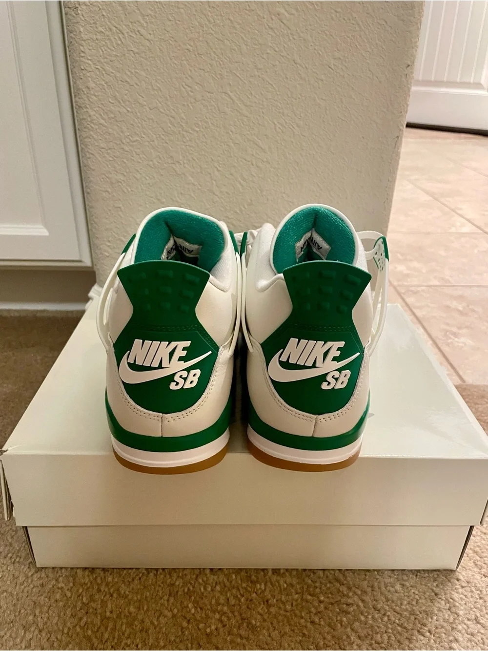 Jordan nike sb
